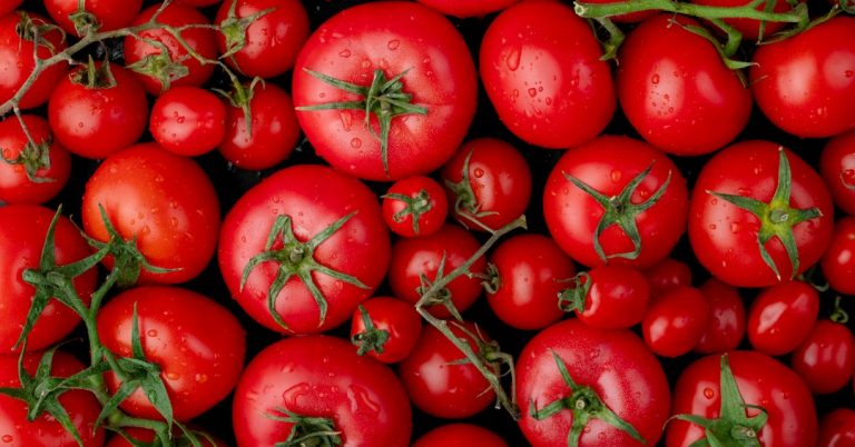 Benefícios do tomate para a pele: fruta até protege dos danos do sol!