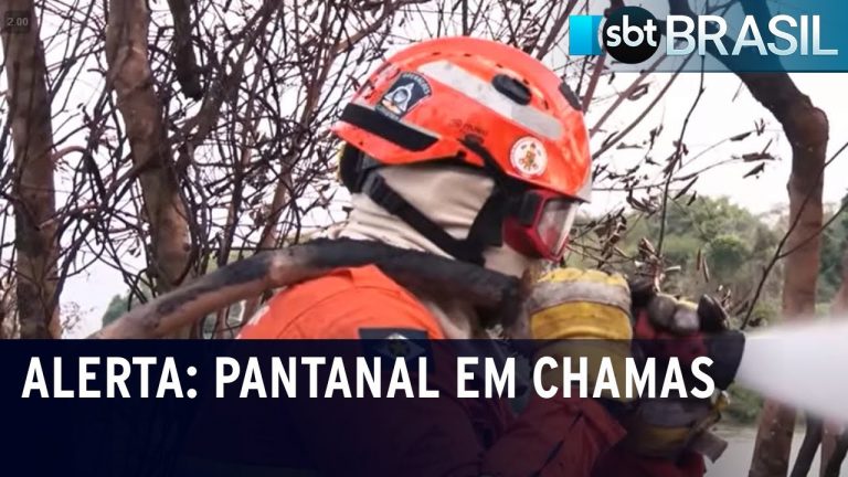 Pantanal está em estado de emergência por conta de incêndios florestais | SBT Brasil (15/11/23)
