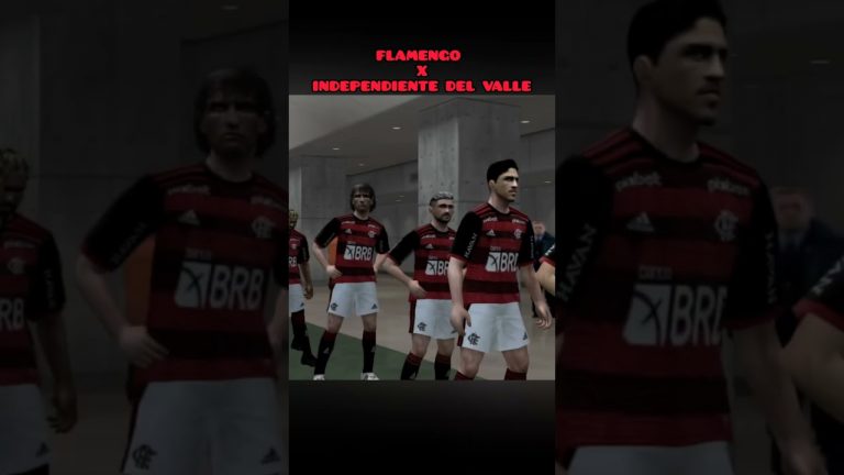 Flamengo ao vivo com imagens jogo ao vivo – #Flamengo #aovivo #futebol #mengão #Shorts
