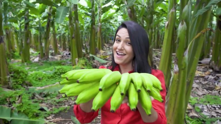 Tudo sobre a fruta mais consumida do Brasil: a banana | Mundo business