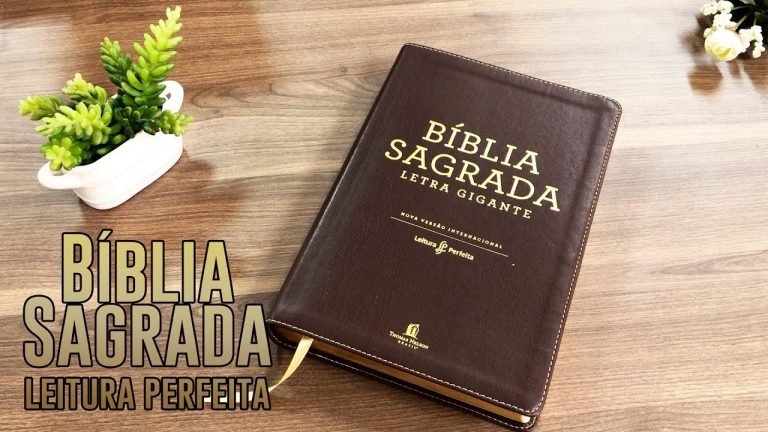 Bíblia Sagrada | Leitura Perfeita | NVI | Letra Gigante | Capa Neutra