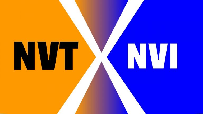 NVI vs NVT – Qual a melhor tradução bíblica?