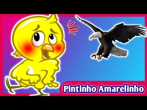 PINTINHO AMARELINHO – DVD GALINHA PINTADINHA | Mariana Conta 1 | Desenho Animado | Historia infantil