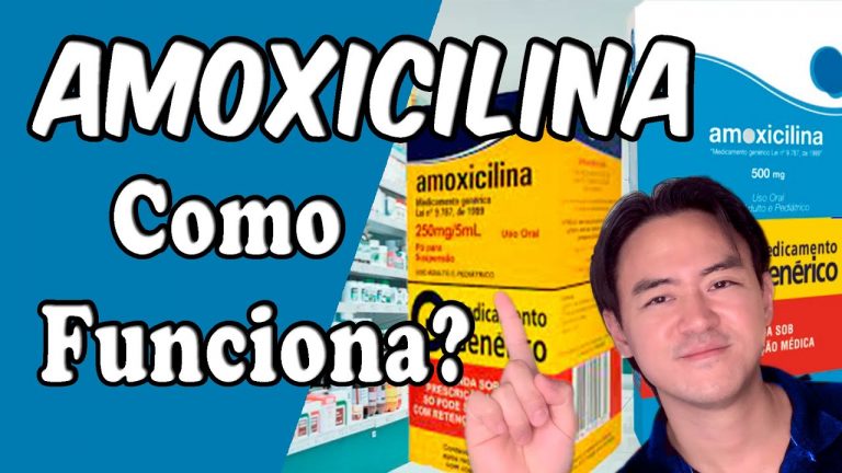 amoxicilina como funciona?