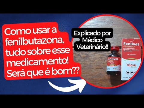 Fenilbutazona, como usar e para quê serve? Tudo sobre esse medicamento – Explicado por Médico Vet.