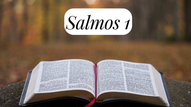Biblia Ave Maria – Salmos 01