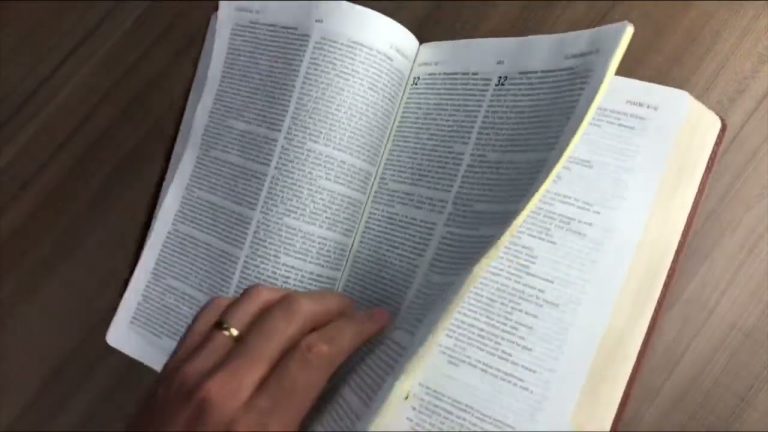 Bíblia NVI Bilíngue Português-Inglês – Capa luxo marrom