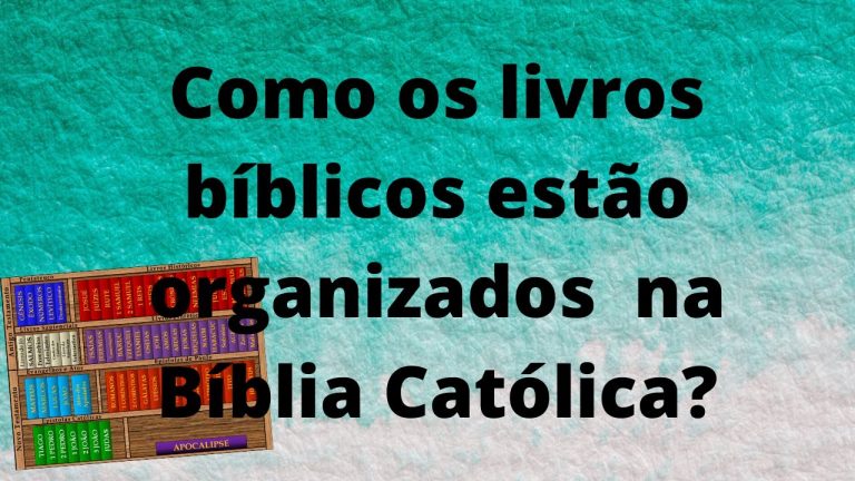 Como estão organizados os livros na Bíblia Católica?
