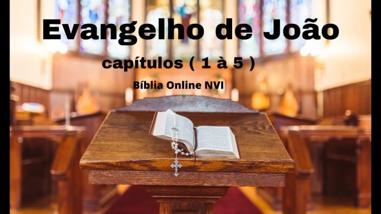 !!!! URGENTE !!!!  Evangelho de João: capítulos  ( 1 à 5 ), Bíblia Sagrada , Bíblia Online NVI .
