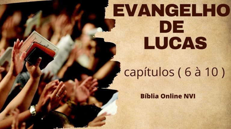 !!!! URGENTE !!!!  Evangelho de Lucas: capítulos  ( 6 à 10 ), Bíblia Sagrada , Bíblia Online NVI .