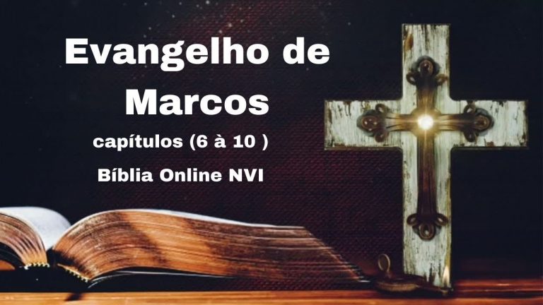 !!!! URGENTE !!!!  Evangelho de Marcos: capítulos  ( 6 à 10 ), Bíblia Sagrada , Bíblia Online NVI .