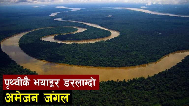 यस जंगलमा अझै आदिम मानव रहेको मानिन्छ | Facts about Amazon Rain-forest | Bishwo Ghatana