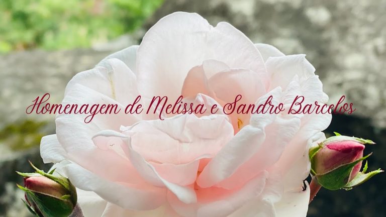 #Shorts Feliz Dia das Mães | Melissa e Sandro Barcelos
