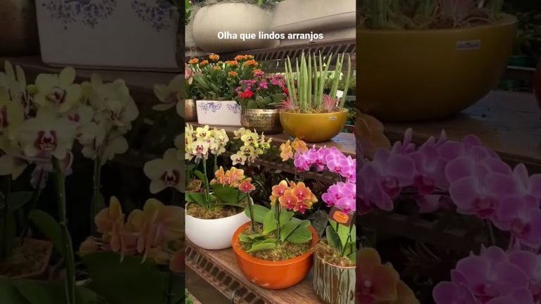 Presenteie com FLORES no dia das MÃES