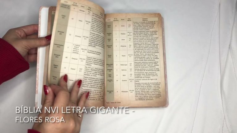 Bíblia NVI Letra Gigante – Flores Rosa | Livraria 100% Cristão