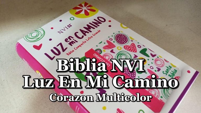 Biblia NVI Luz En Mi Camino Corazones Multicolor Simil Piel