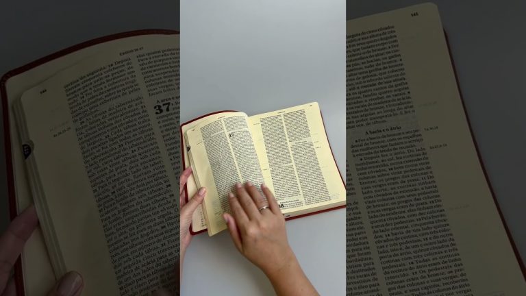 Livro Bíblia Ave-Maria – Edição De Estudos