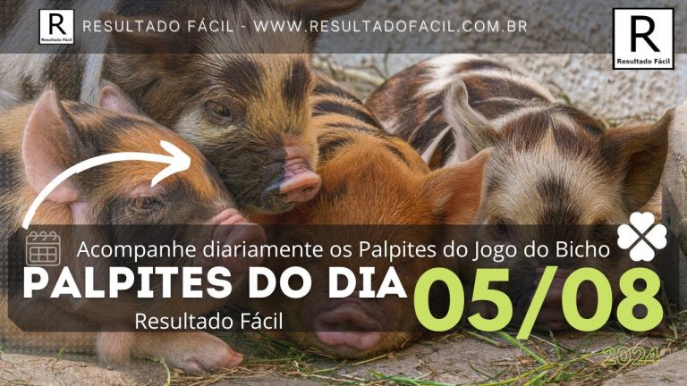 Palpite do dia 05/08/2024 Jogo do Bicho – Resultado Fácil