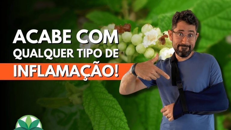 Essa é a planta anti-inflamatória Nº 1!