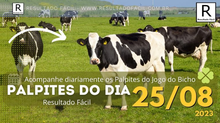 Palpite do dia 25/08/2024 Jogo do Bicho – Resultado Fácil