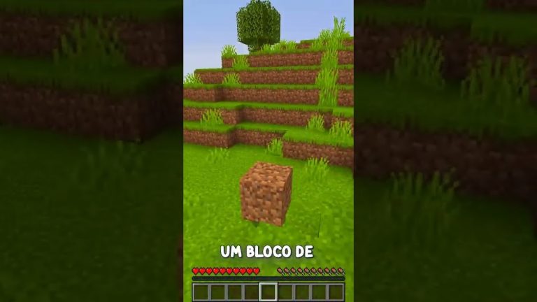 Minecraft a cada inscrito eu viro um bloco diferente #shorts