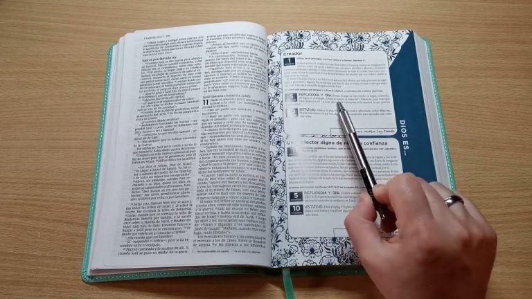 NVI BIBLIA PARA LA MAMÁ OCUPADA 1080p