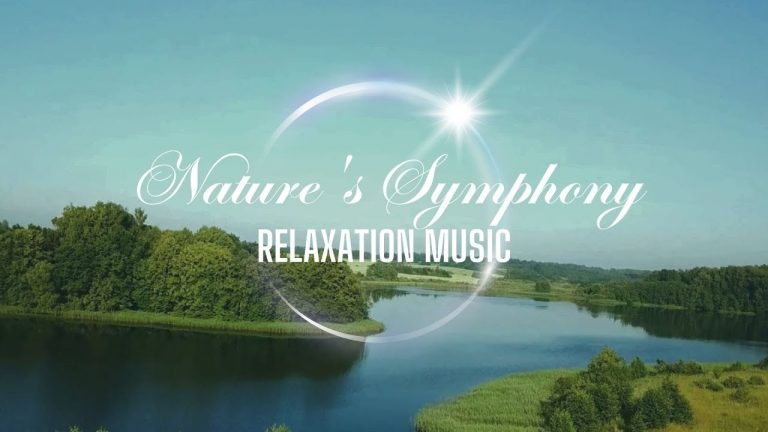 Nature's Symphony by Meditation Music  Music Official