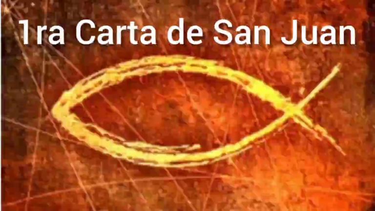 Primera Carta de San Juan. Completa. 1ra Epístola de San Juan. Biblia Católica