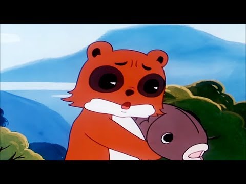 THE RACCOON | Great Book of Nature | Full Episode 2 | English