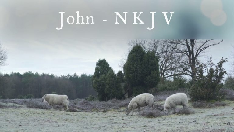 The Book of John – New King James Version (NKJV) – Audio Bible