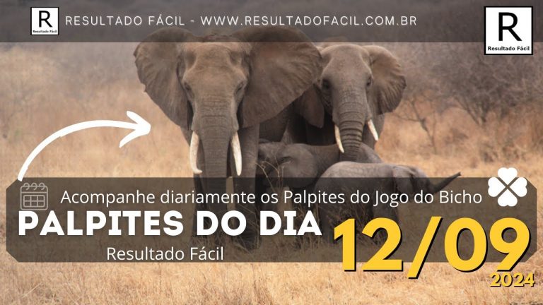 Palpite do dia 12/09/2024 Jogo do Bicho – Resultado Fácil