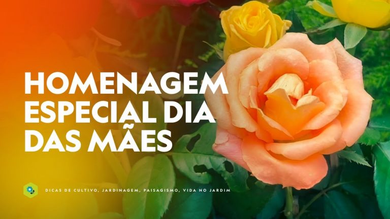 HOMENAGEM ESPECIAL DIA DAS MÃES