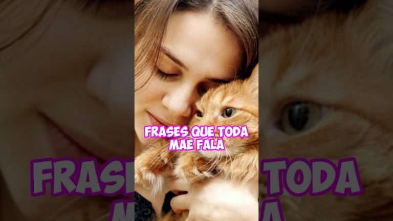 FRASES QUE TODA MÃE FALA 😹