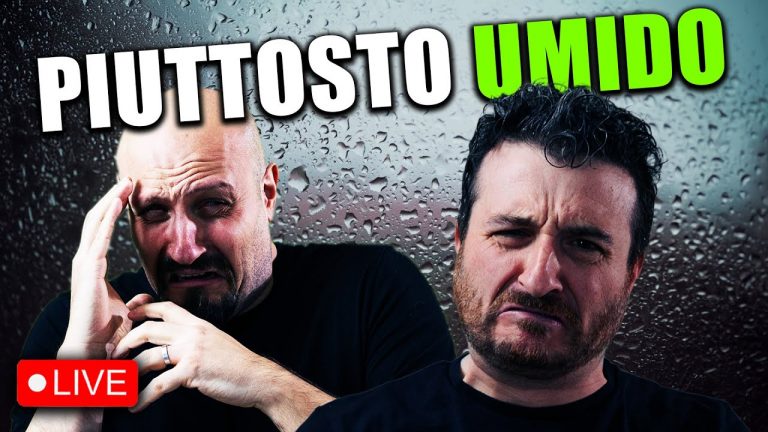 Oggi è piuttosto umido – LIVE