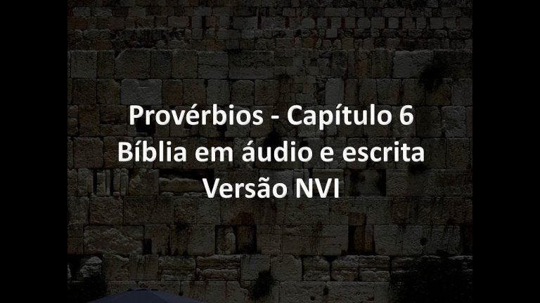 Provérbios Capítulo 6   Bíblia em áudio e escrita   Versão NVI