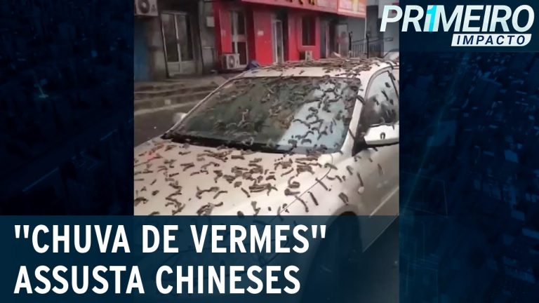 “Chuva de verme” assusta cidade na China e encobre carros | Primeiro Impacto (08/03/23)