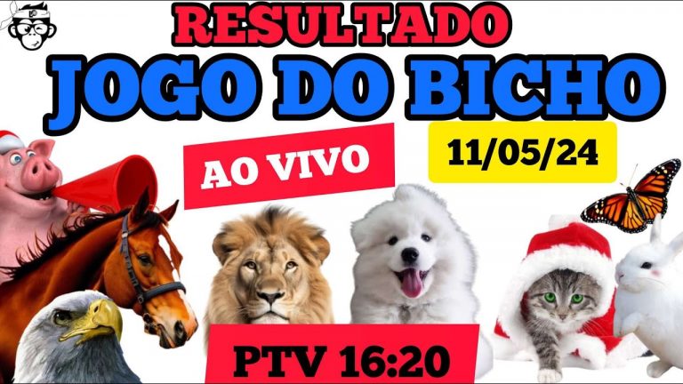 RESULTADO DO JOGO DO BICHO AO VIVO PTV 11/05/24