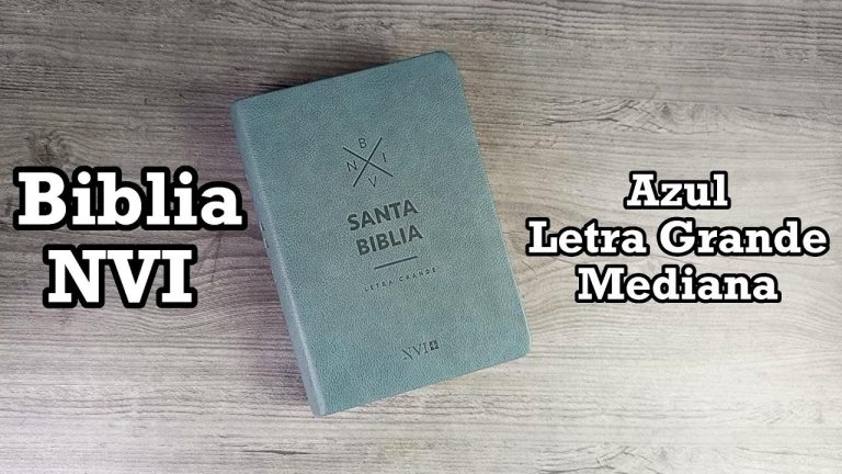 Biblia NVI Azul Letra Grande Mediana