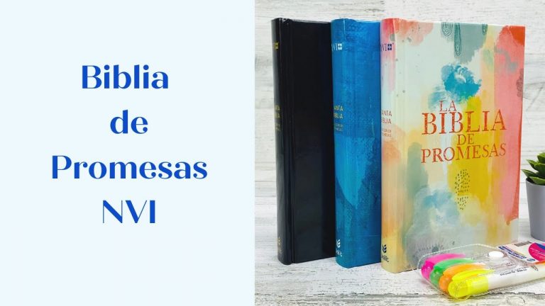 Biblia de Promesas NVI