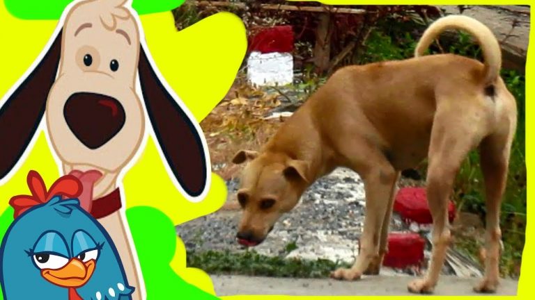 Galinha Pintadinha 2 – Cão Amigo