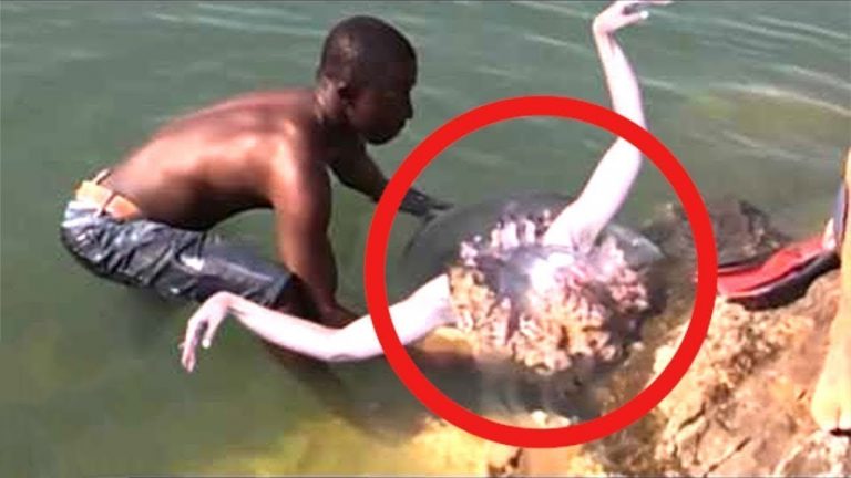 He finds Real Life Mermaid… Then This Happens..