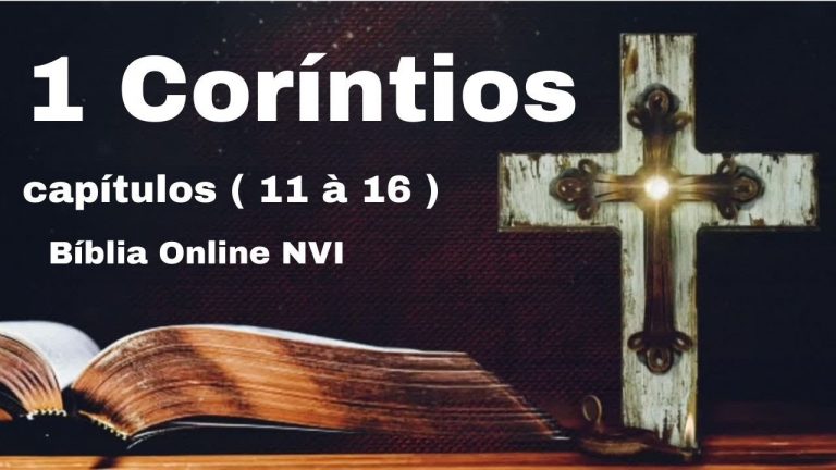 !!! IMPERDÍVEL !!!  Livro de 1 Coríntios: capítulos  ( 11 à 16 ), Bíblia Sagrada , Bíblia Online NVI