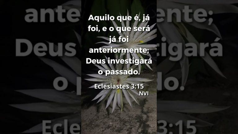 Versículos da Bíblia Para Meditar  – Eclesiastes 3:15 NVI #shorts