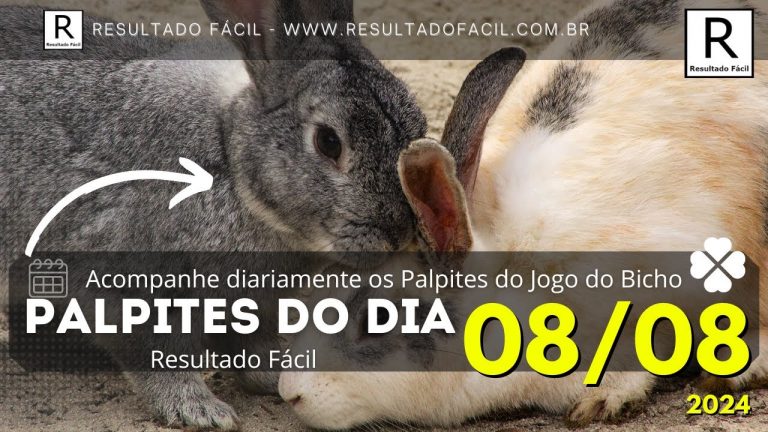 Palpite do dia 08/08/2024 Jogo do Bicho – Resultado Fácil