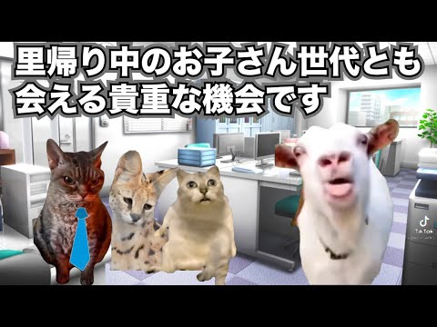 銀行からお盆に電話がかかってくる理由【地方銀行】#猫ミーム