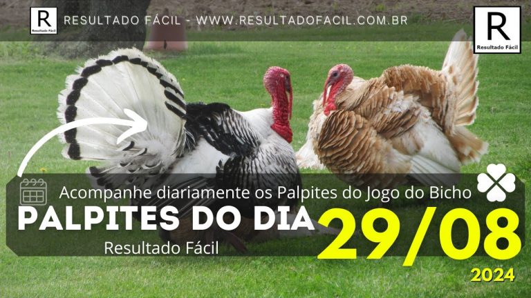 Palpite do dia 29/08/2024 Jogo do Bicho – Resultado Fácil