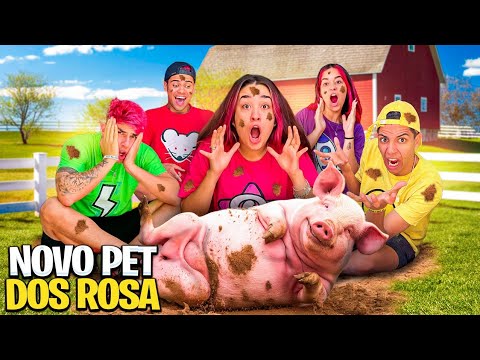 ADOTAMOS UM PORCO DE ESTIMAÇÃO DOS ROSA *porketo