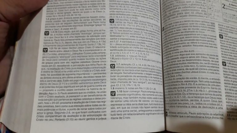 Biblia de estudo NVI