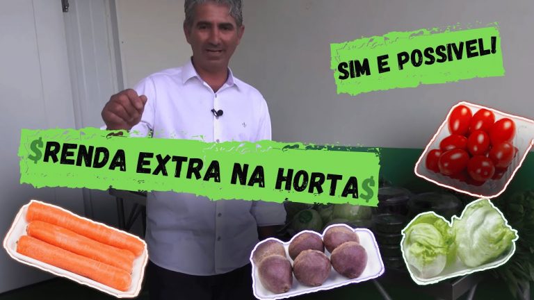 COMO FAZER RENDA EXTRA COM A SUA HORTA?