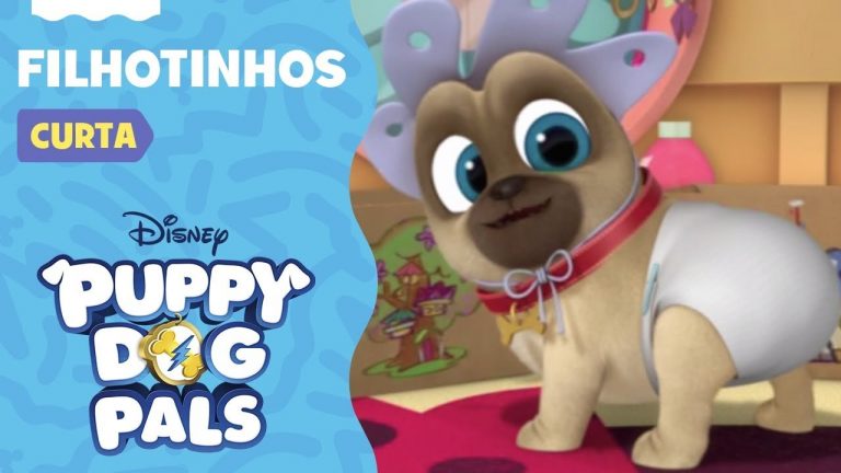 Filhotinhos | Brincando com Bingo e Rolly | Puppy Dog Pals